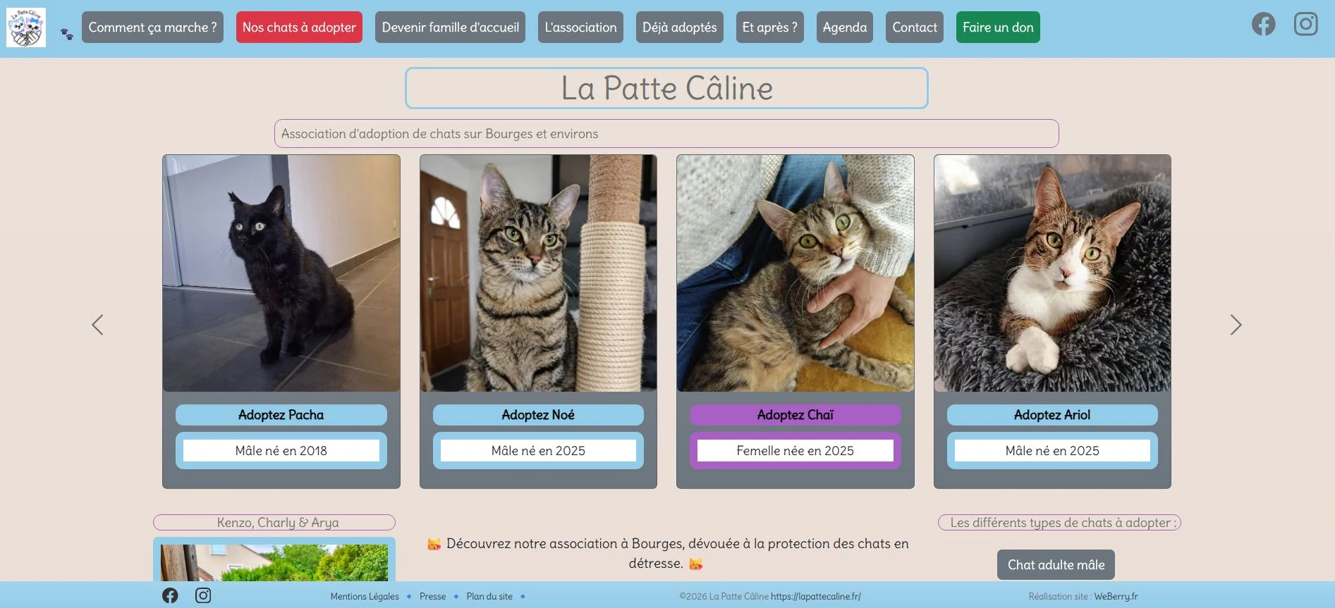 Aperçu du site La patte câline